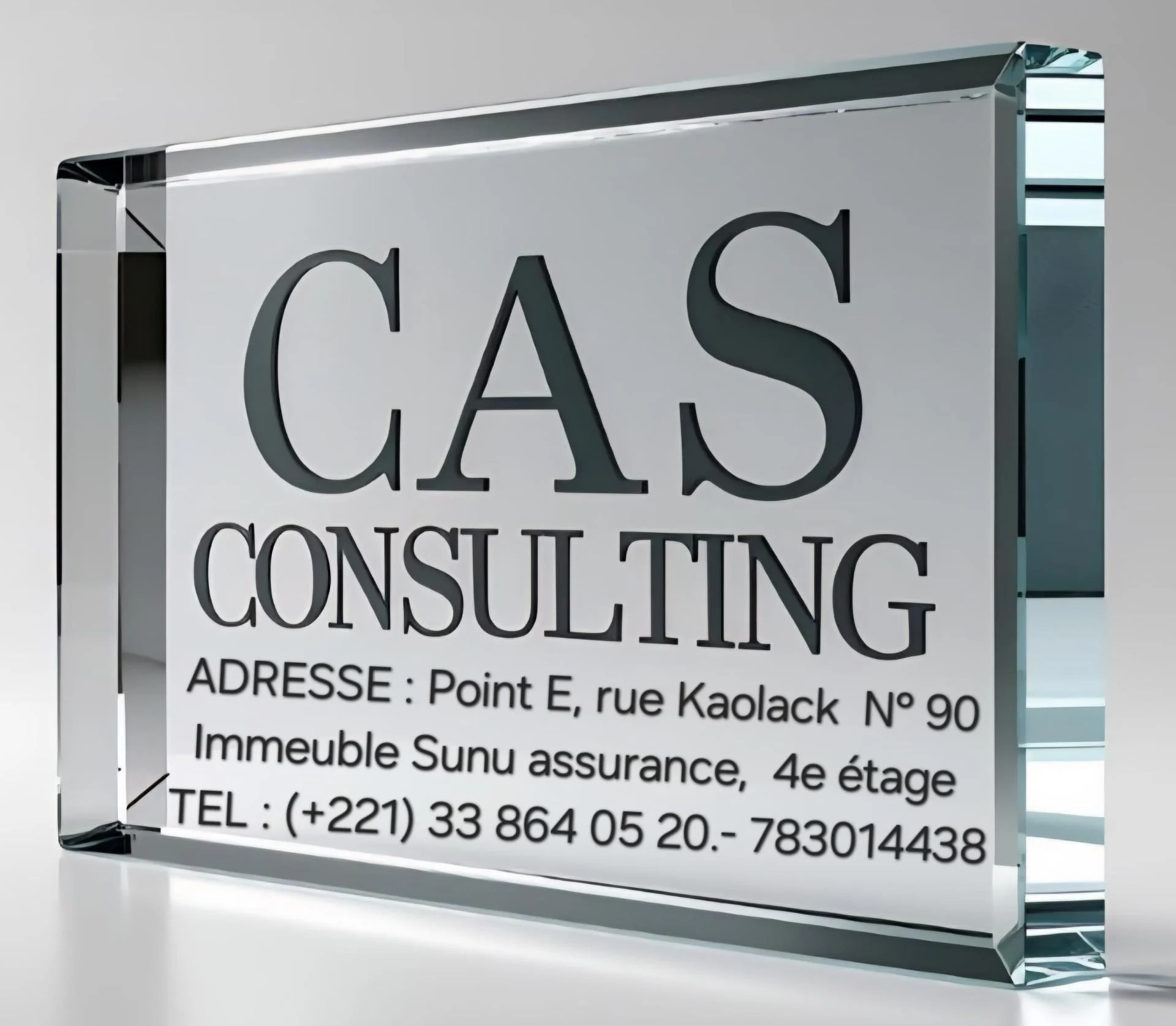 PLAQUE CAS CONSULTING